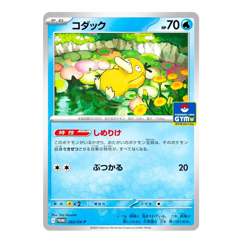 コダック　ジム　プロモ　PSA10　Psyduck　262/sv-p JP] Psyduck 262/SV-P Gym Promo – Evolved Gaming